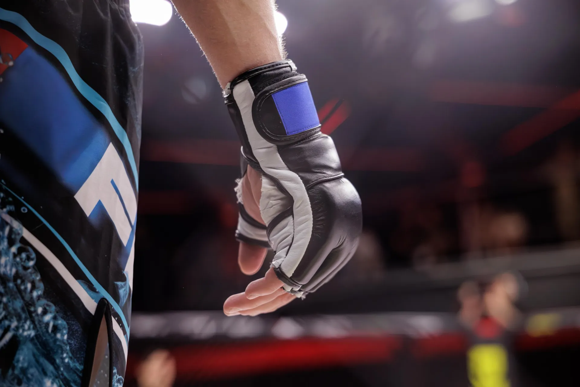 Cours de MMA (arts martiaux mixtes) à Aix-en-Provence