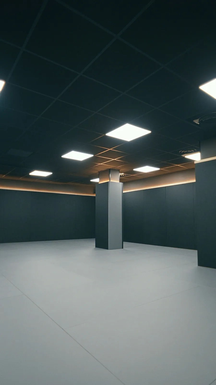 Grande salle d'entraînement d'Impact Fight à Aix-en-Provence, tatamis et éclairage LED